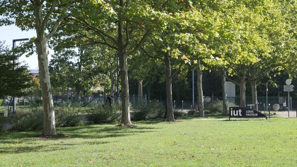 L'IUT Louis Pasteur 