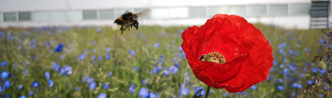 photo d'ambiance IUT Louis Pasteur